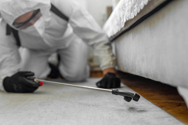 Professional Bed Bug Control technician working in Crosby, ND